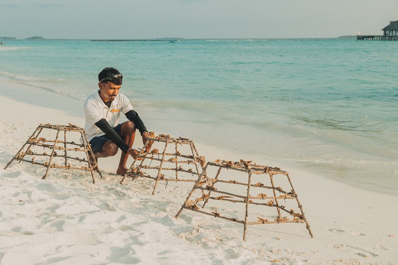 Marine Biologist at Sun Siyam Iru Fushi Maldvies