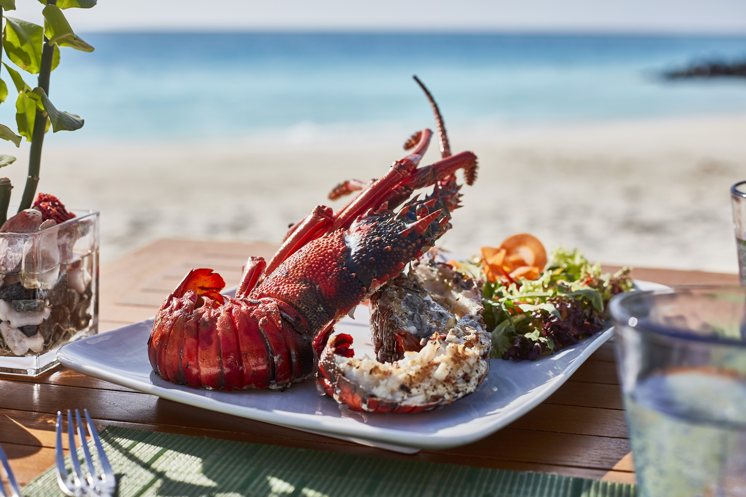Sunsiyam Iv Groupergrill 0071