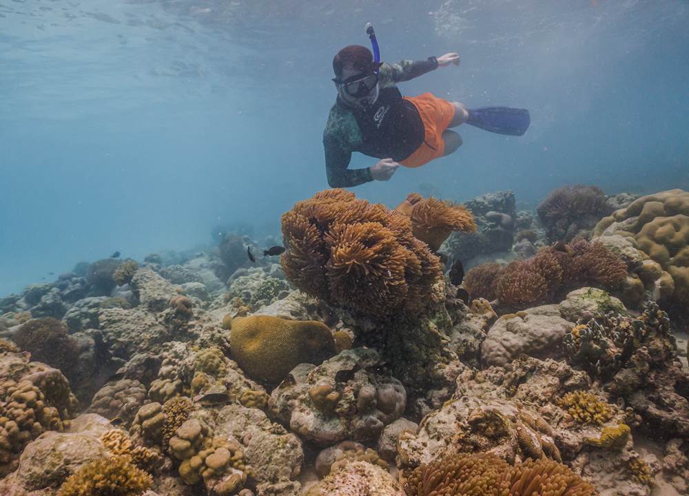 Snorkeling at Iru fushi_1