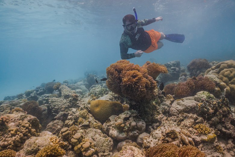 Snorkelling at Sun Siyam Iru Fushi, Maldives