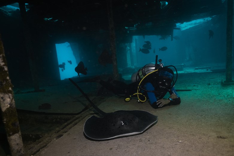 Siyam World Shipwreck Dive
