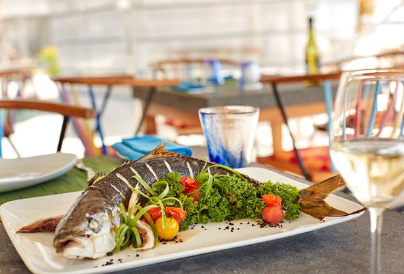 Maincourse_1