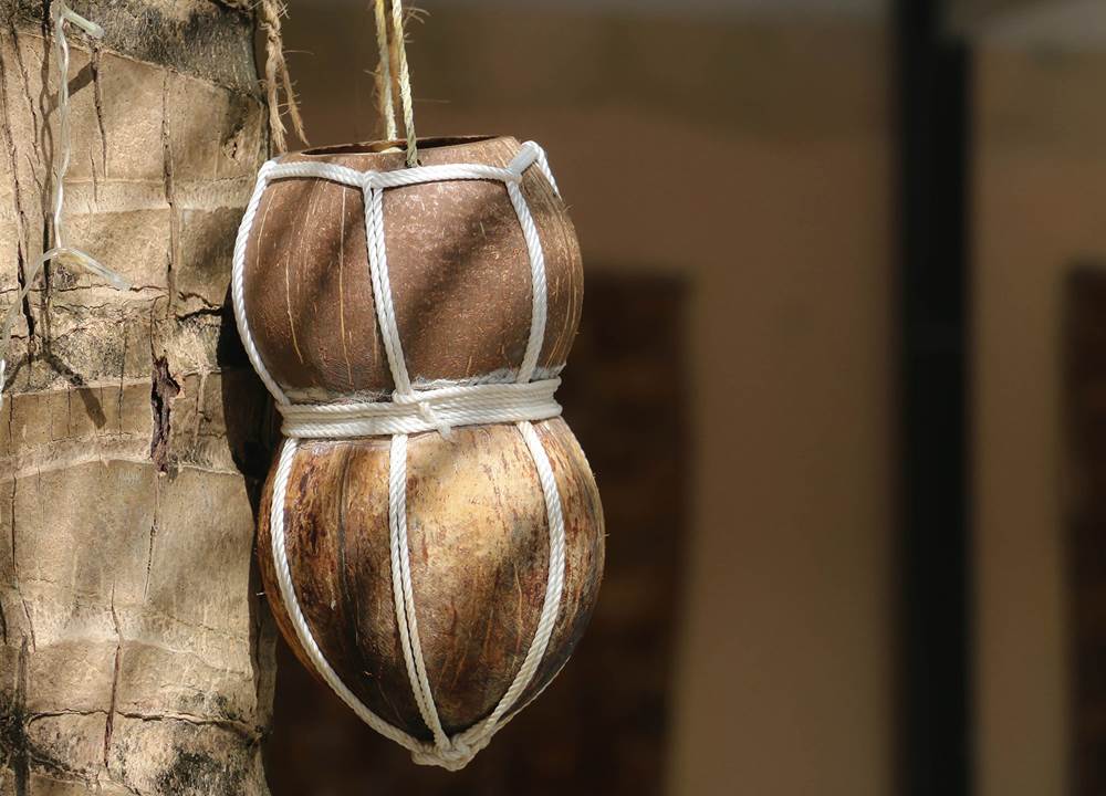 Handmade coconut