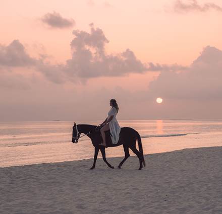 Siyam World Horse Sunset