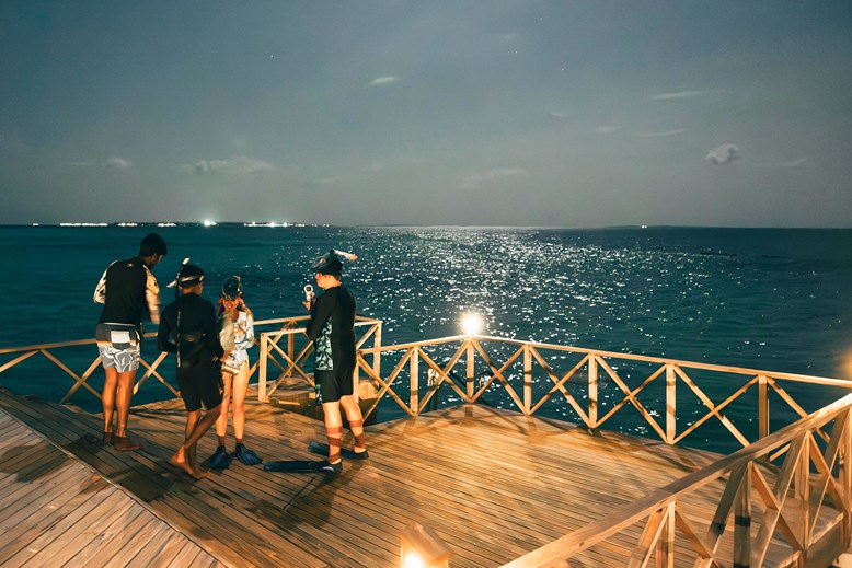 Night Snorkeling