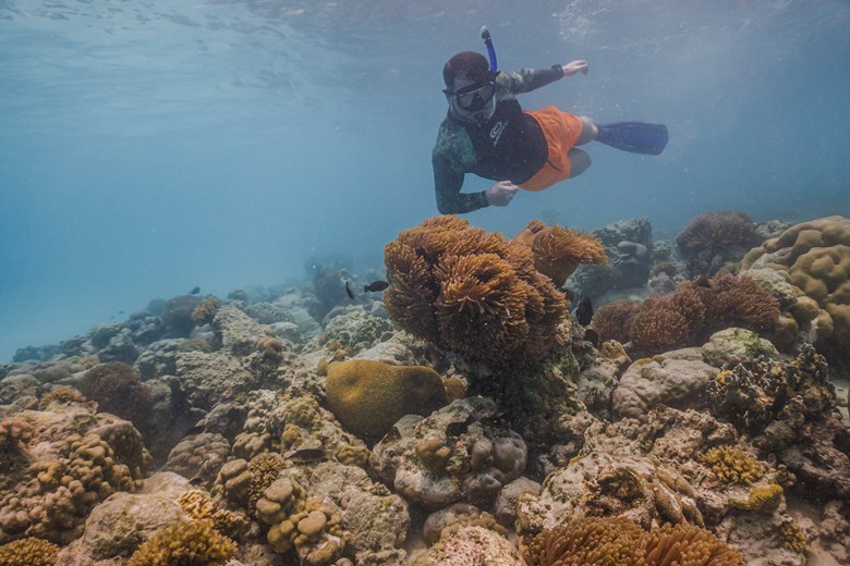 Snorkelling at Sun Siyam Iru Fushi, Maldives