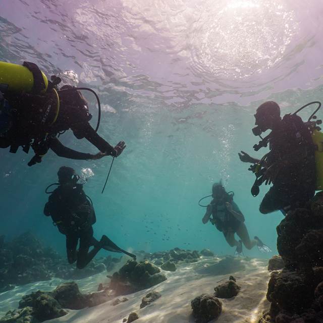 Diving with Instructor