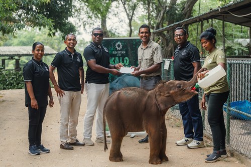 Sun Siyam CarePhant