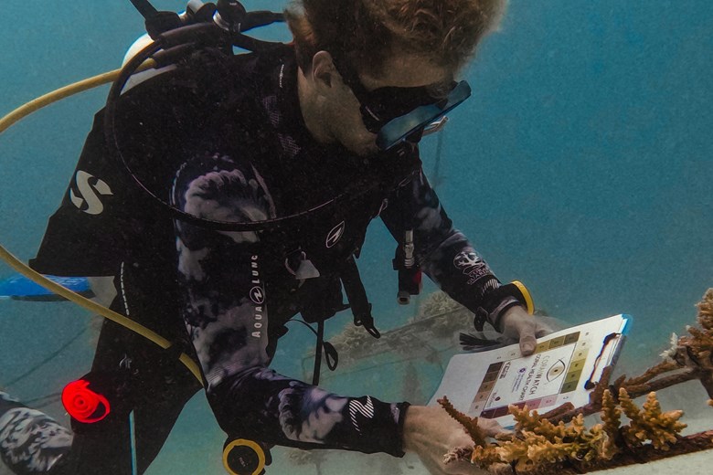 Sso Dive Earth 25 1