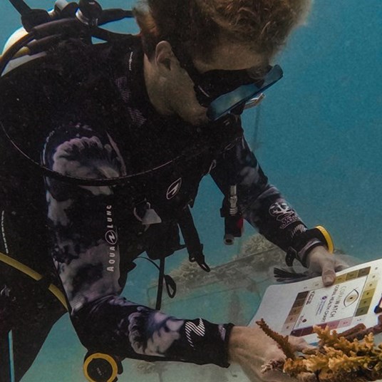 Sso Dive Earth 25 1