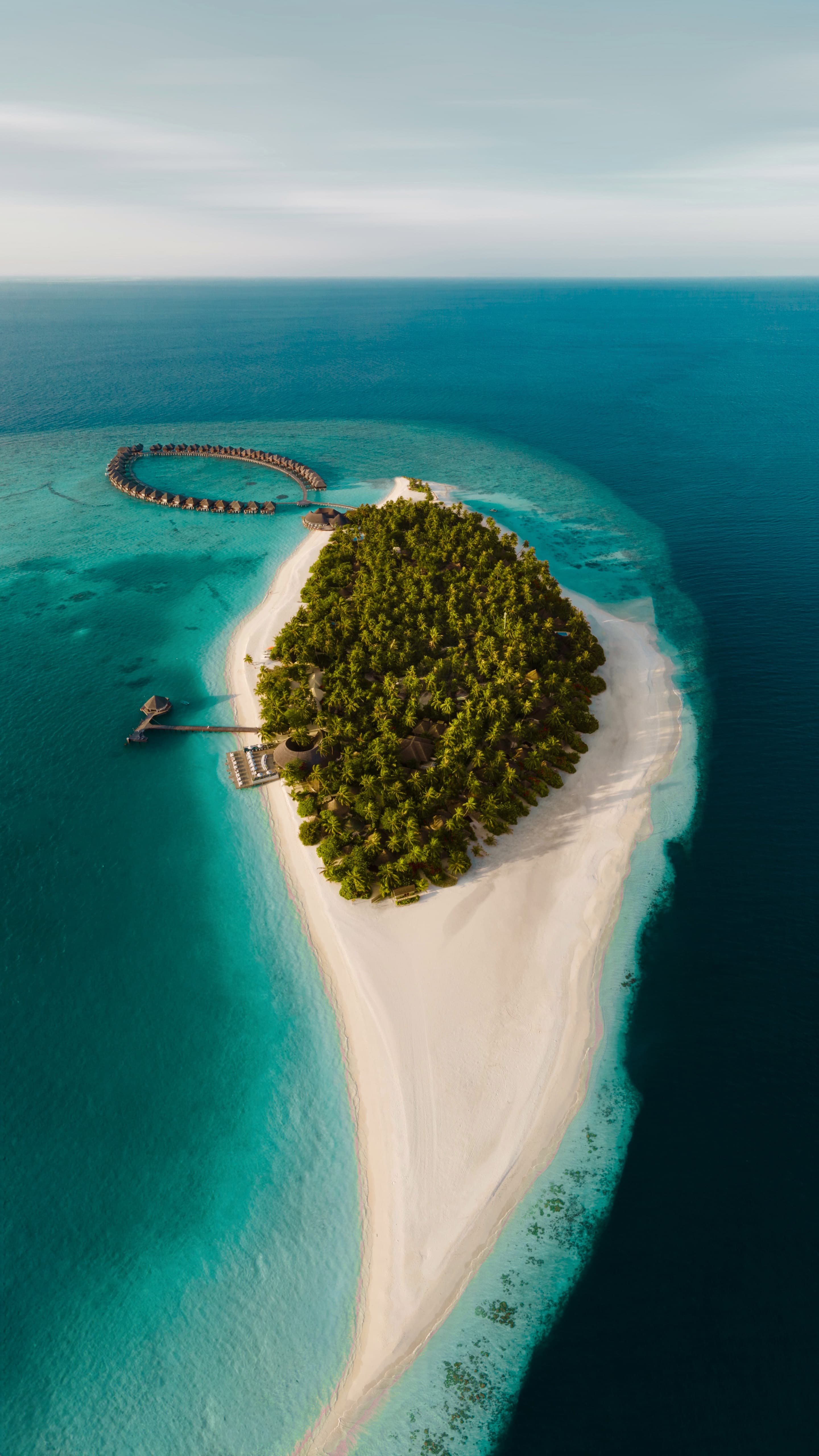 Vilu Reef - Featured
