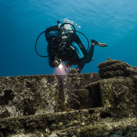 SW Wreck Jpg 43 M