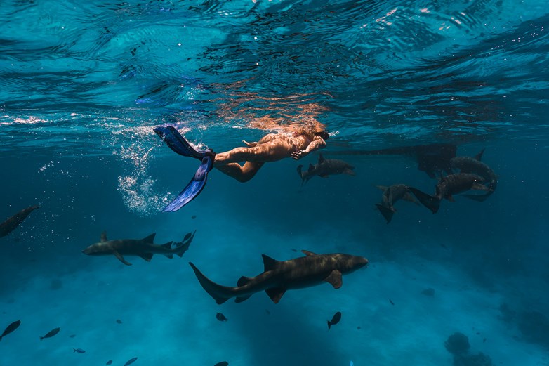 Snorkeling