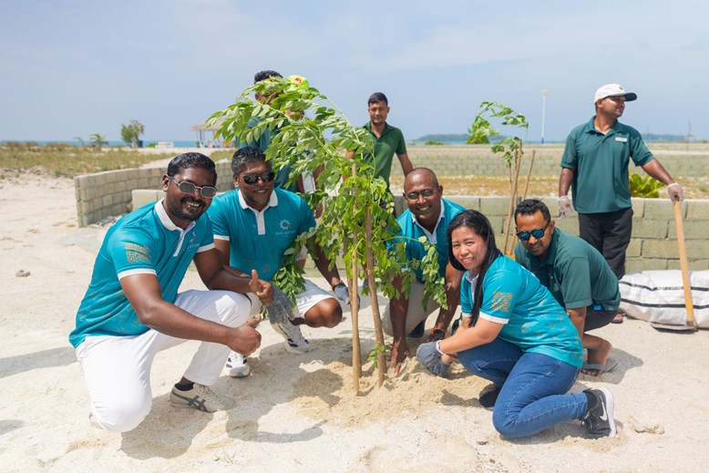 Tree Planting 2025